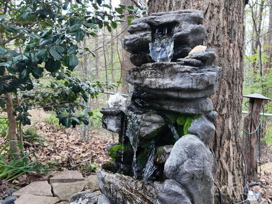 Property Image 34