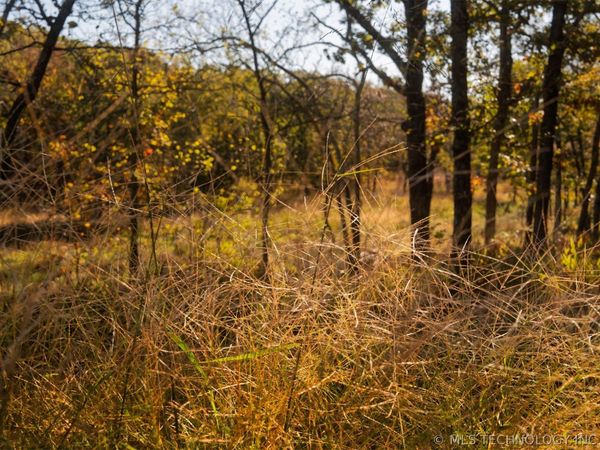 080 260th Street , Winchester, OK 74421