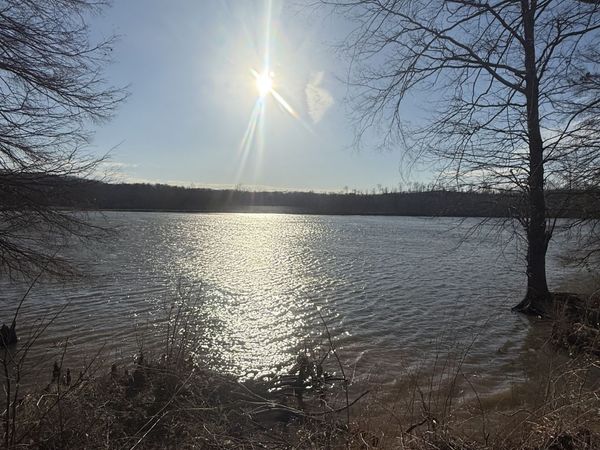 415 Hardin Bottom Rd , Clifton, TN 38425