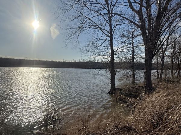 425 Hardin Bottom Rd , Clifton, TN 38425