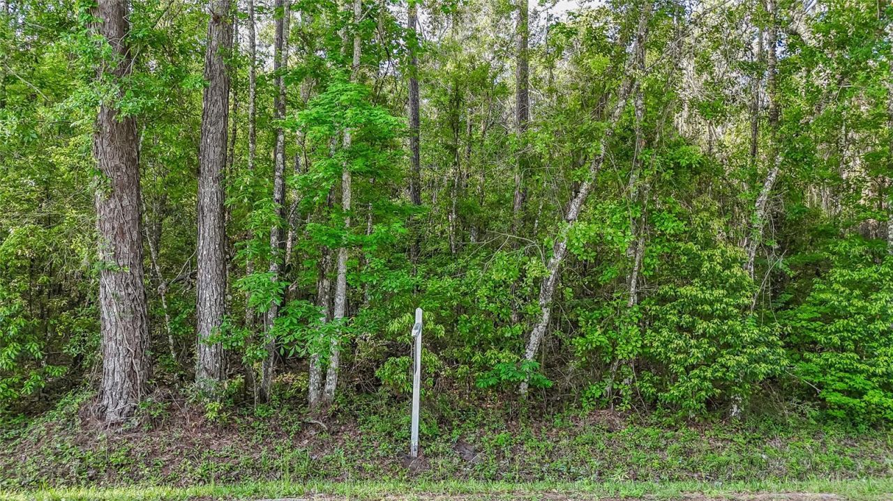 Vfw Road , Brooksville, FL 34601 Photo