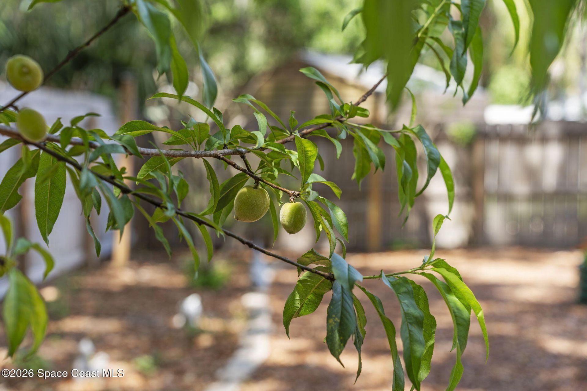 7455 Darien Road , Cocoa, FL 32927 Photo