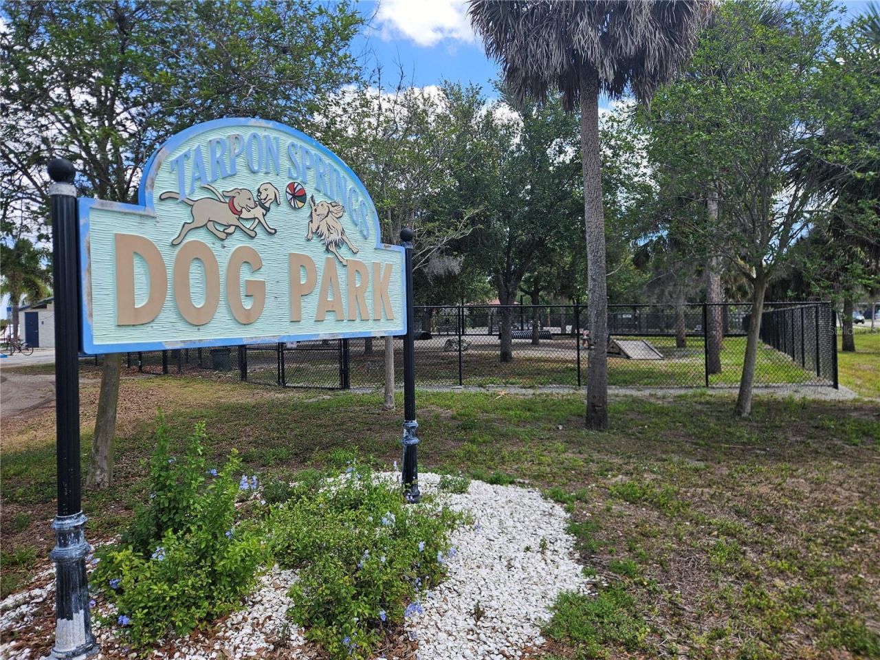 232 Cypress Street , Tarpon Springs, FL 34689 Photo