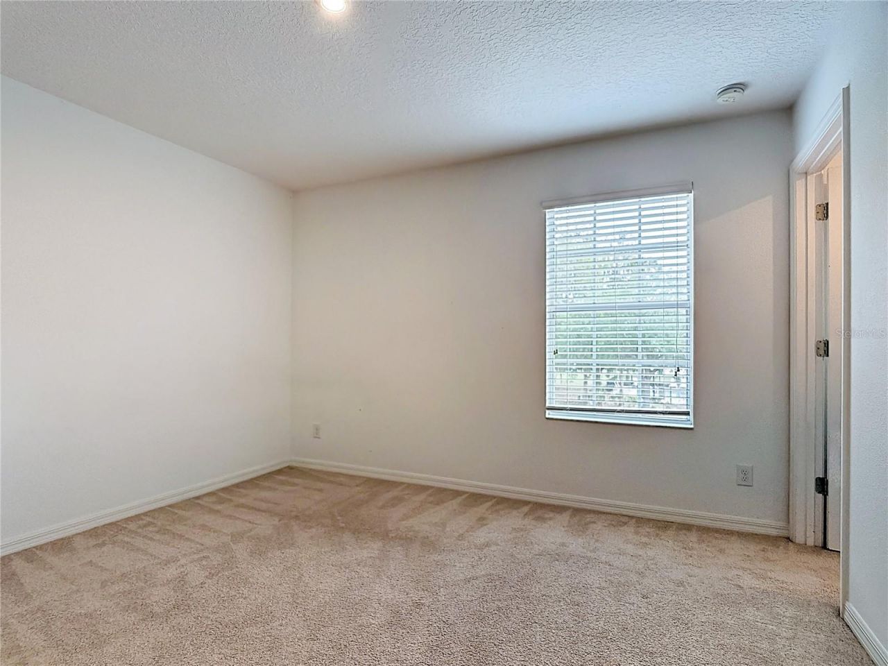 2896 Tanzanite Terrace , Kissimmee, FL 34758 Photo