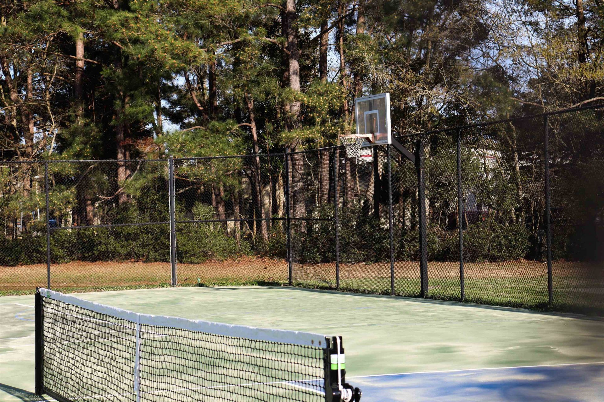 4384 Daphine Ln. Photo 40