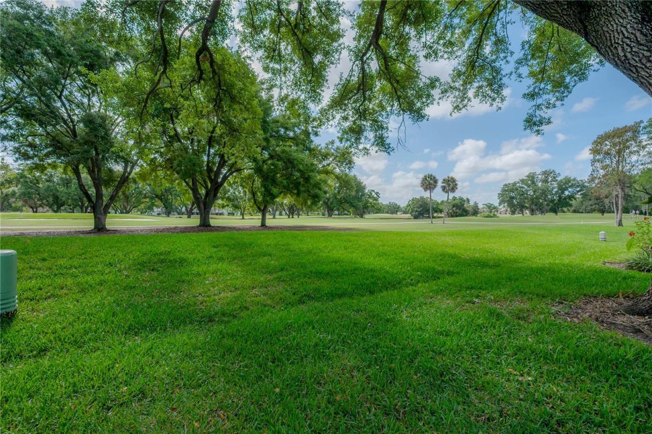 4206 Golf Club Lane, Tampa, FL 33618 Main Photo