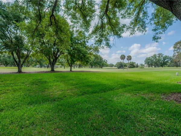 4206 GOLF CLUB LANE, TAMPA, FL 33618