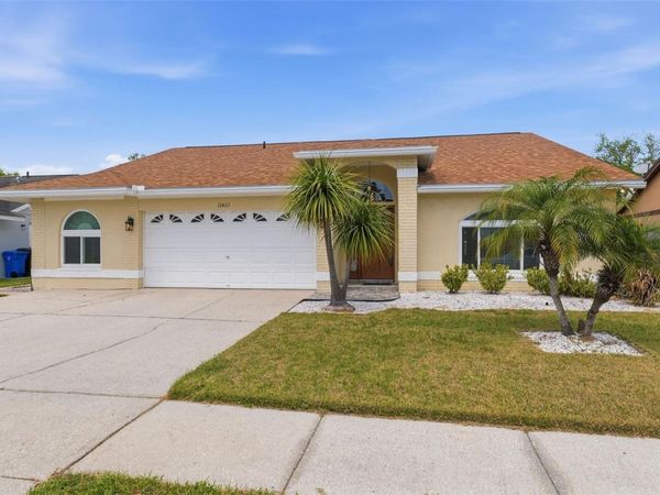 11421 GLENMONT DRIVE , TAMPA, FL 33635