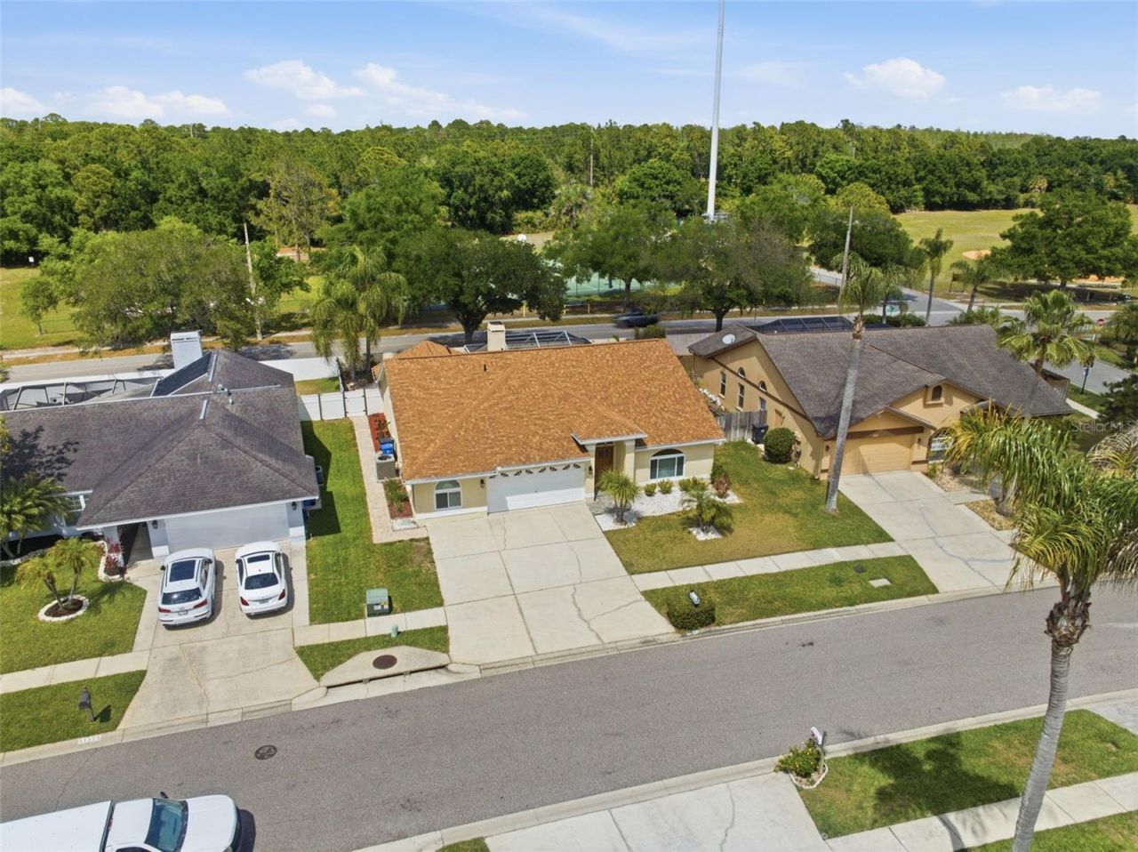 11421 Glenmont Drive , Tampa, FL 33635 Photo