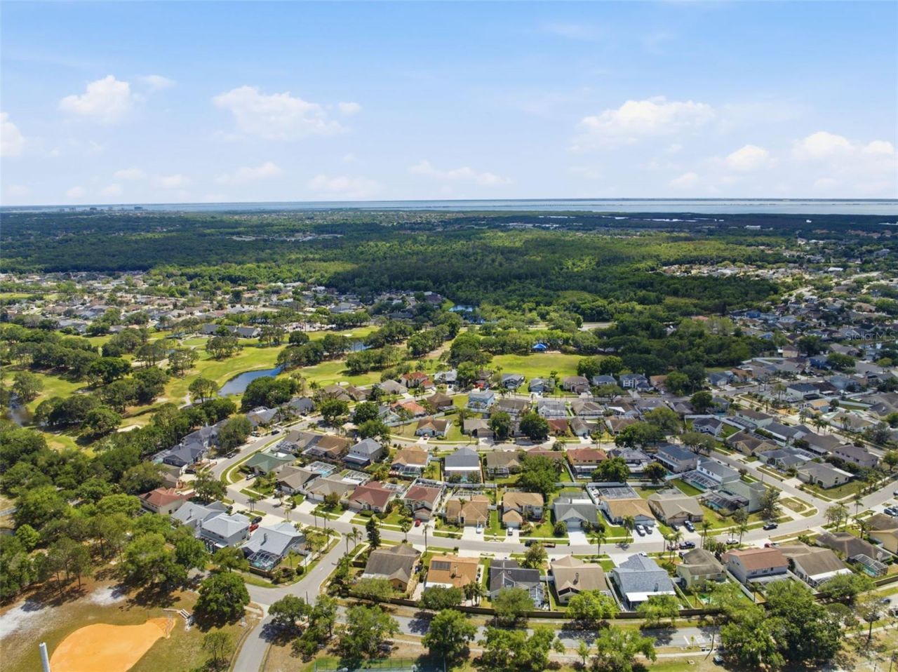 11421 Glenmont Drive , Tampa, FL 33635 Photo