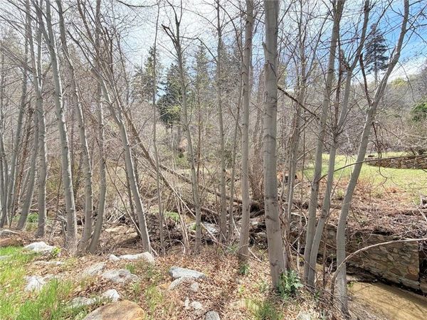 29949 Hook Creek, Cedar Glen, CA 92321