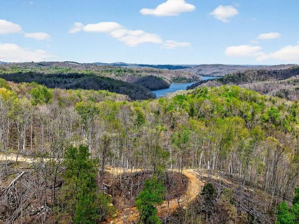 61 AC Hidden Cove Ln, Allons, TN 38541