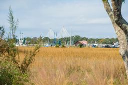 212 Live Oak Drive photo 4