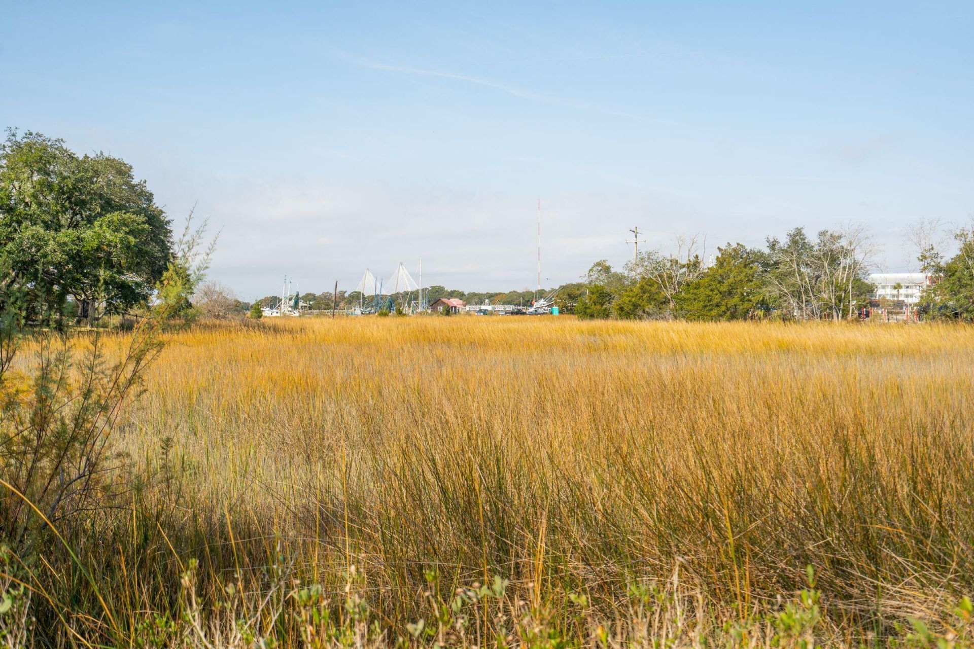 212 Live Oak Drive Photo 68