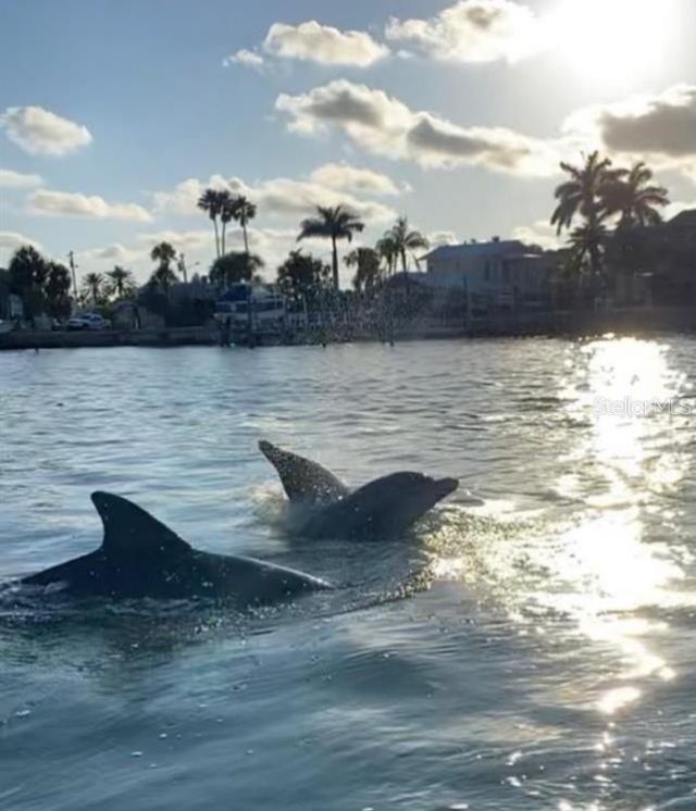 1016 Windsor Hill Way , Tarpon Springs, FL 34689 Photo