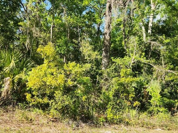 383 NE 209th Ave, Old Town, FL 32680