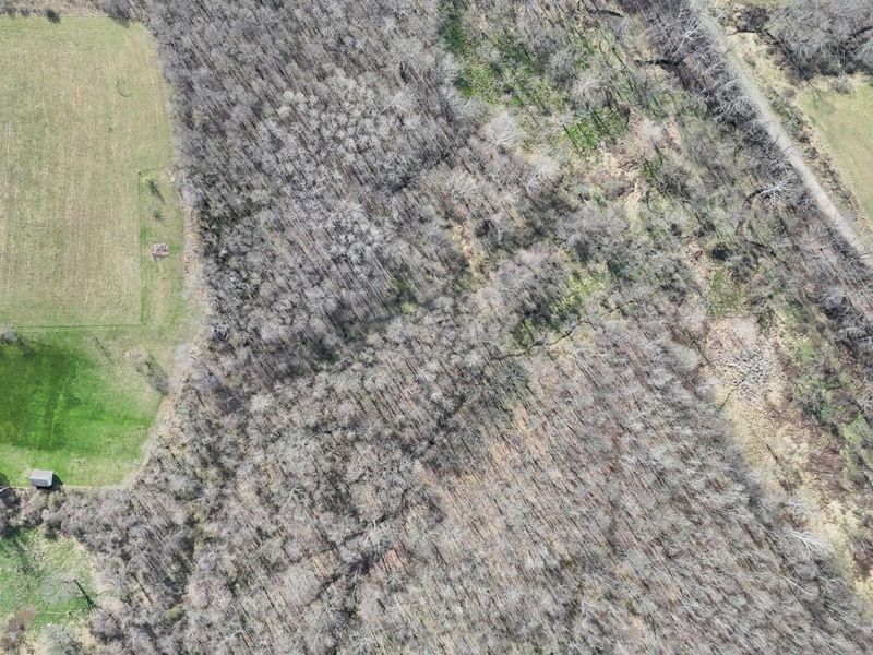 35680 Township Road 72 , Frazeysburg, OH 43822 Photo 74