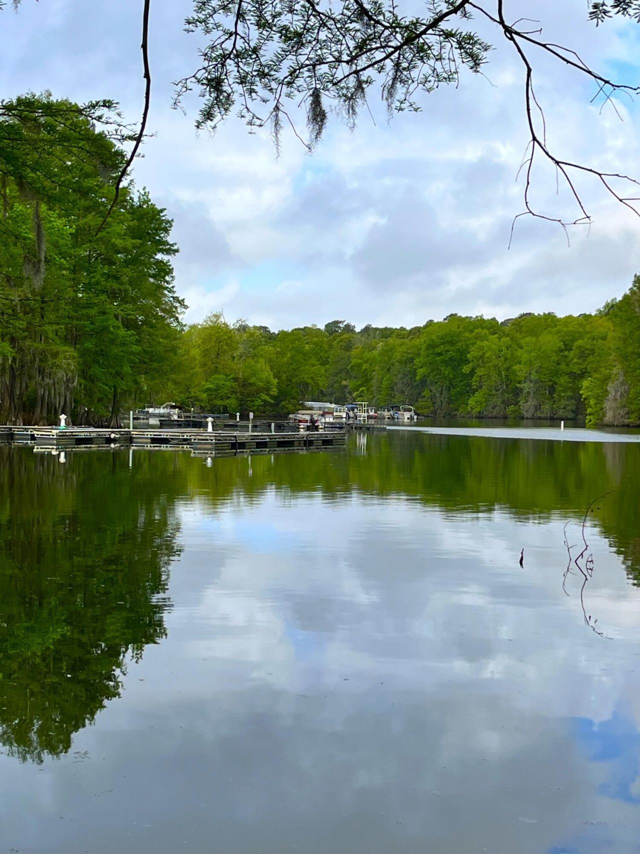 121 Ballard Lane Photo 32