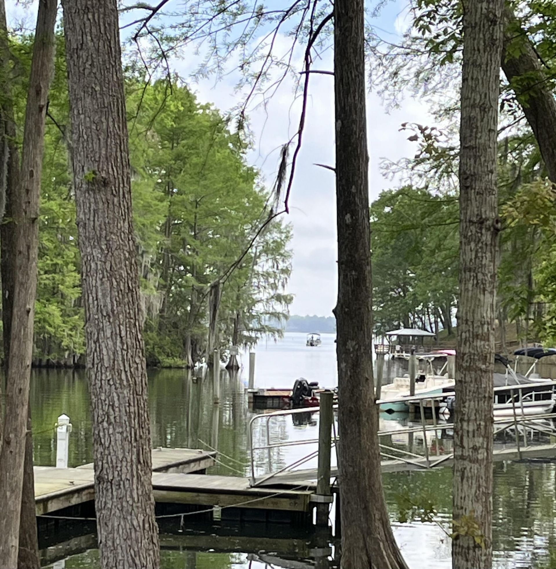 121 Ballard Lane Photo 33