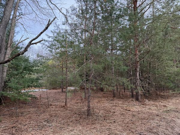 Pihl Road, Kaleva, MI 49645