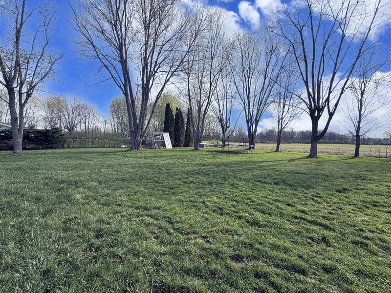 9775 Conrad Road, Saint Paris, OH 43072 Photo 50