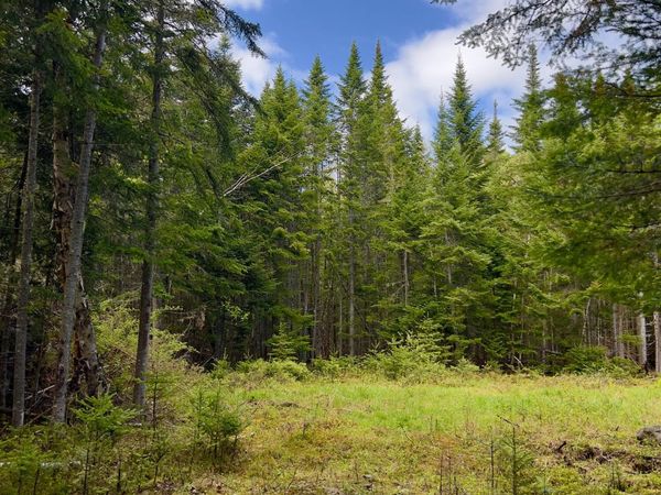 2/001-09A Kendall Farm Trail, Dallas Plt, ME 04970