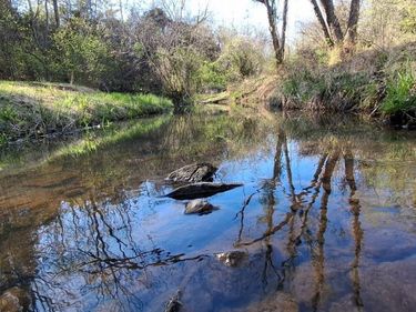 0 Old Courthouse Road, Appomattox, VA 24522