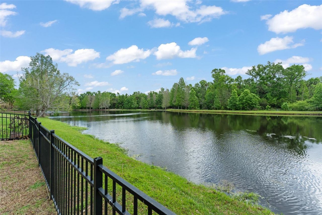 733 Eastlawn Drive, Celebration, FL 34747 Photo