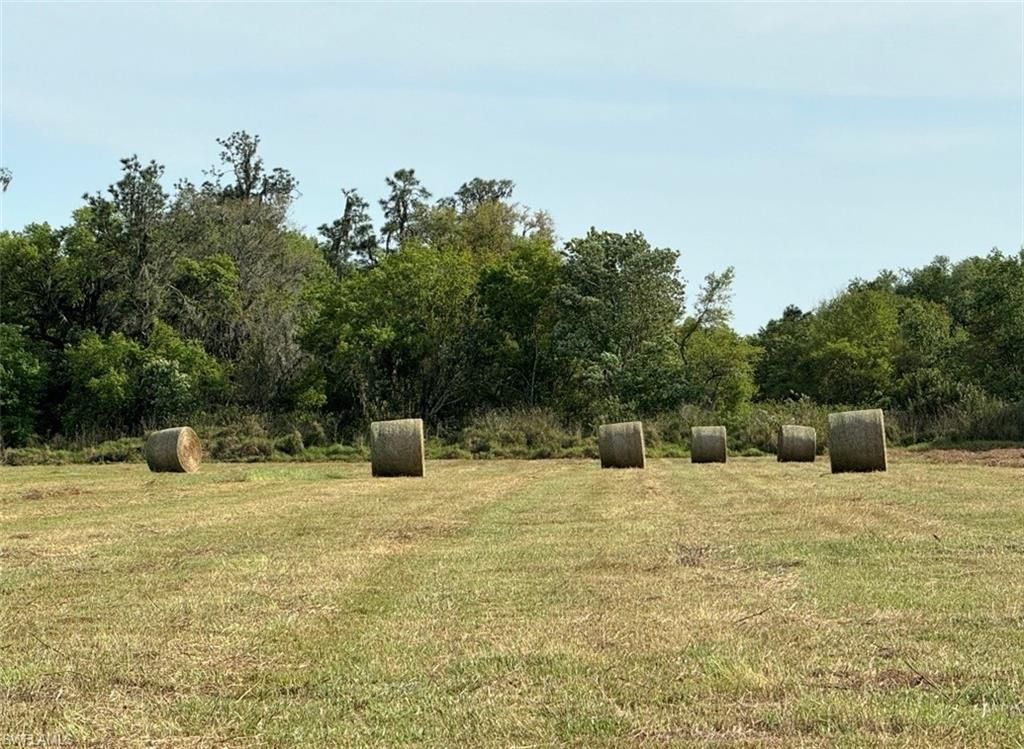 Please Call For Address, Wauchula, FL 33873 Photo