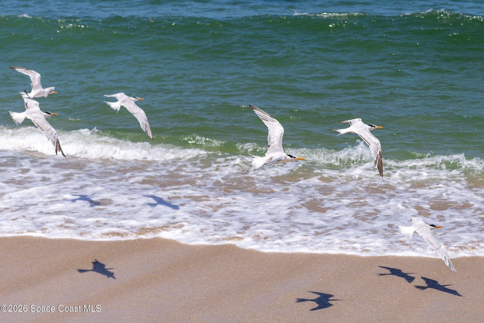 101 Estrella Road, Melbourne Beach, FL 32951 Photo