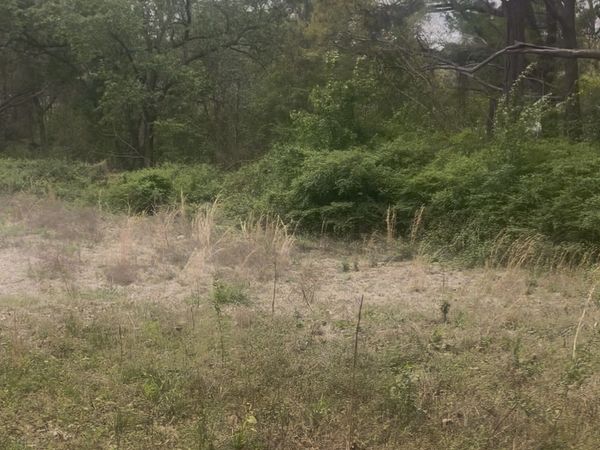 0 Highland Drive, Stockbridge, GA 30281