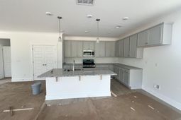 509 Frosty Lane photo 4