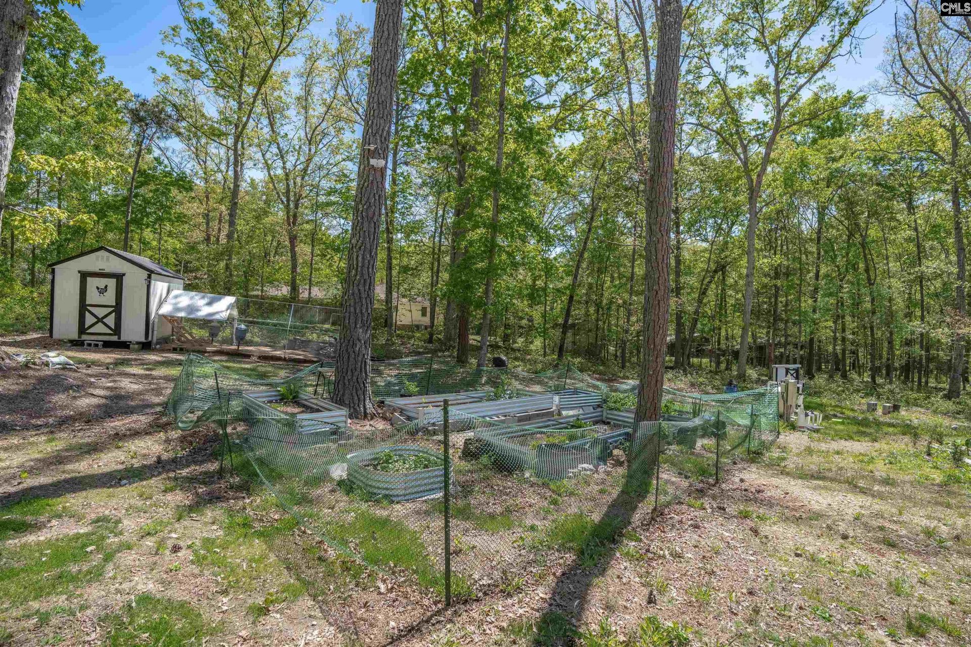 437 Amicks Ferry Road  Photo 39