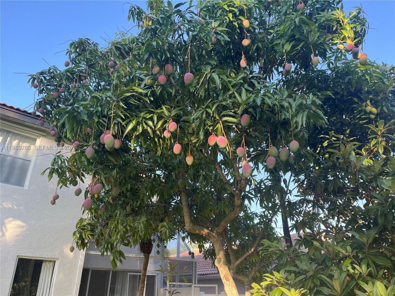 17731 SW 23rd St, Miramar, FL 33029 Photo