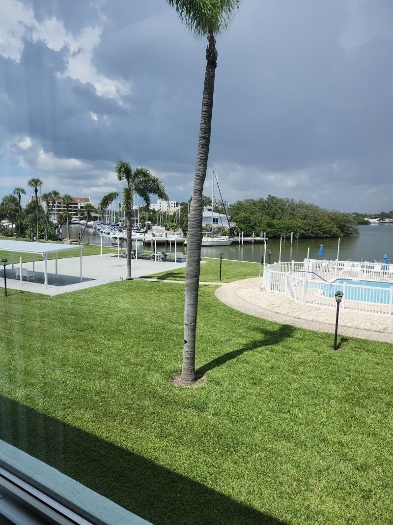 1819 Shore Drive S, Unit 217, South Pasadena, FL 33707 Photo