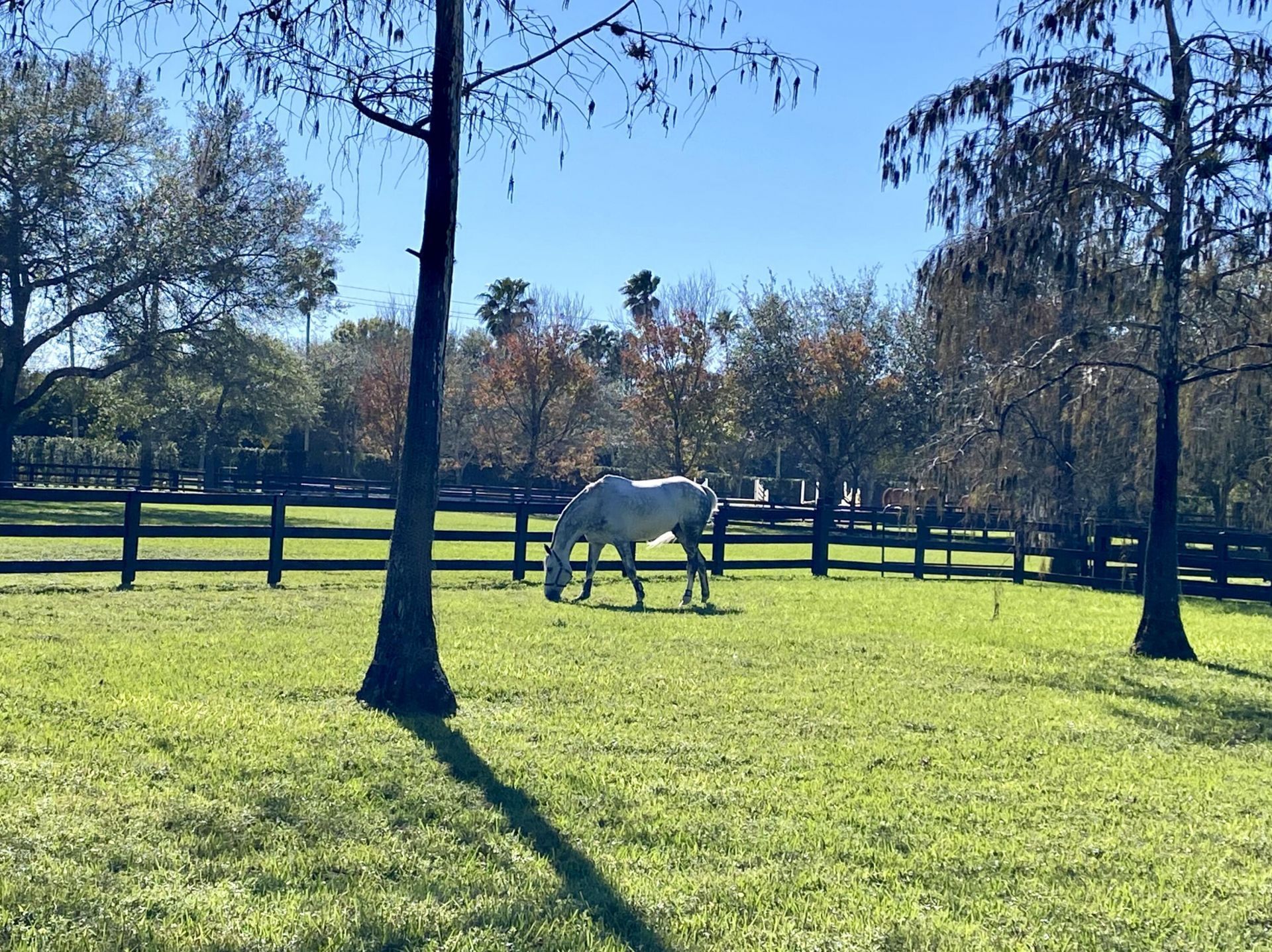 14366 Belmont Trace, Wellington, FL 33414 Photo