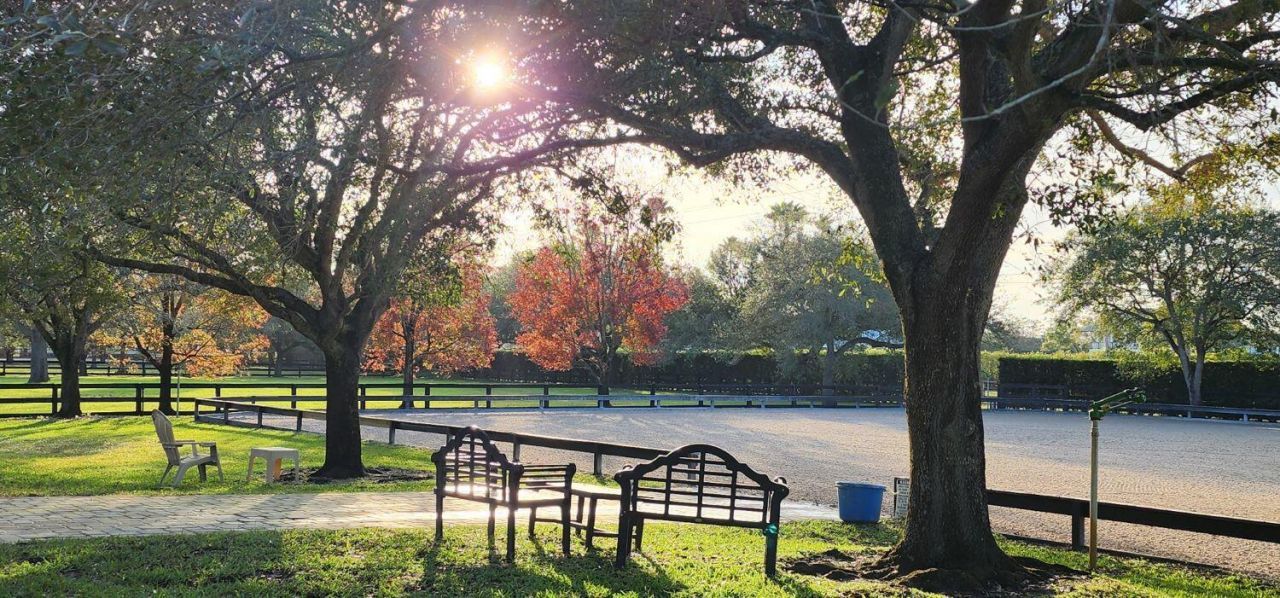 14366 Belmont Trace, Wellington, FL 33414 Photo