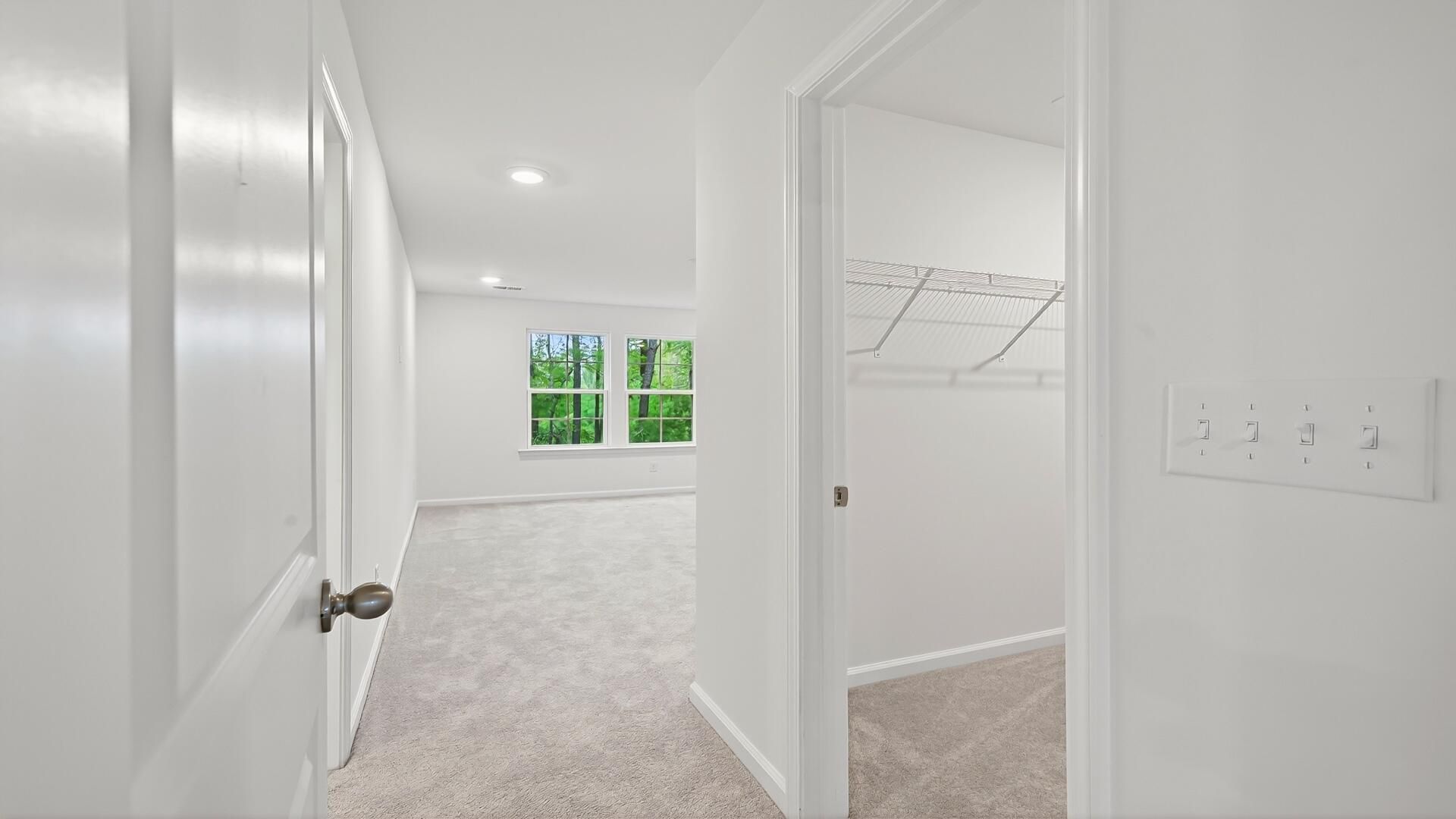 446 Cadbury Loop Photo 14