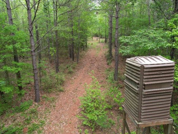 TBD County Road 120C, San Augustine, TX 75972
