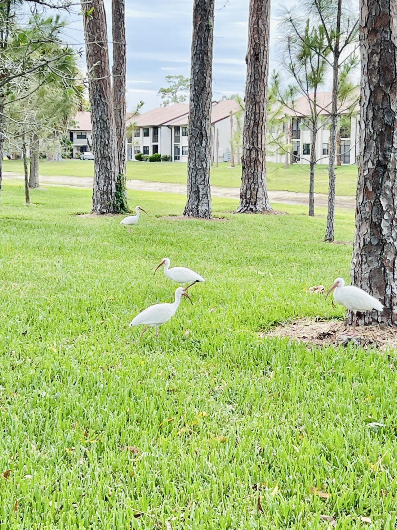 4725 E Lucerne Lakes Blvd Boulevard E, Unit 311, Lake Worth, FL 33467 Photo