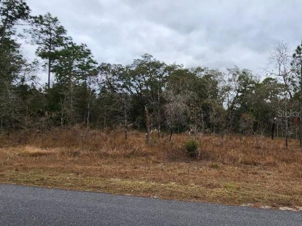 15037 DUSKY WARBLER ROAD , WEEKI WACHEE, FL 34614