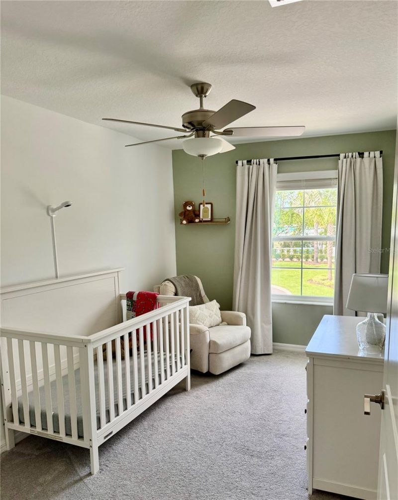 21312 Darter Road , Land O Lakes, FL 34638 Photo