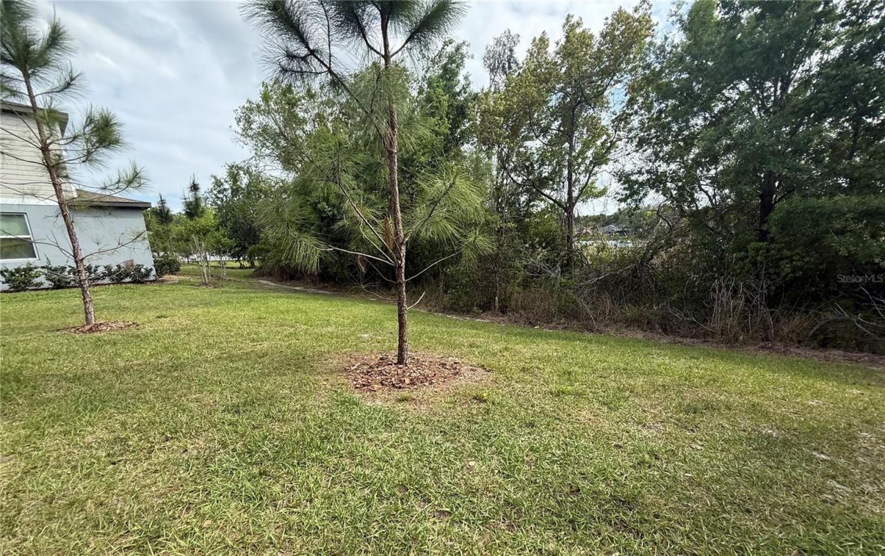 21312 Darter Road , Land O Lakes, FL 34638 Photo