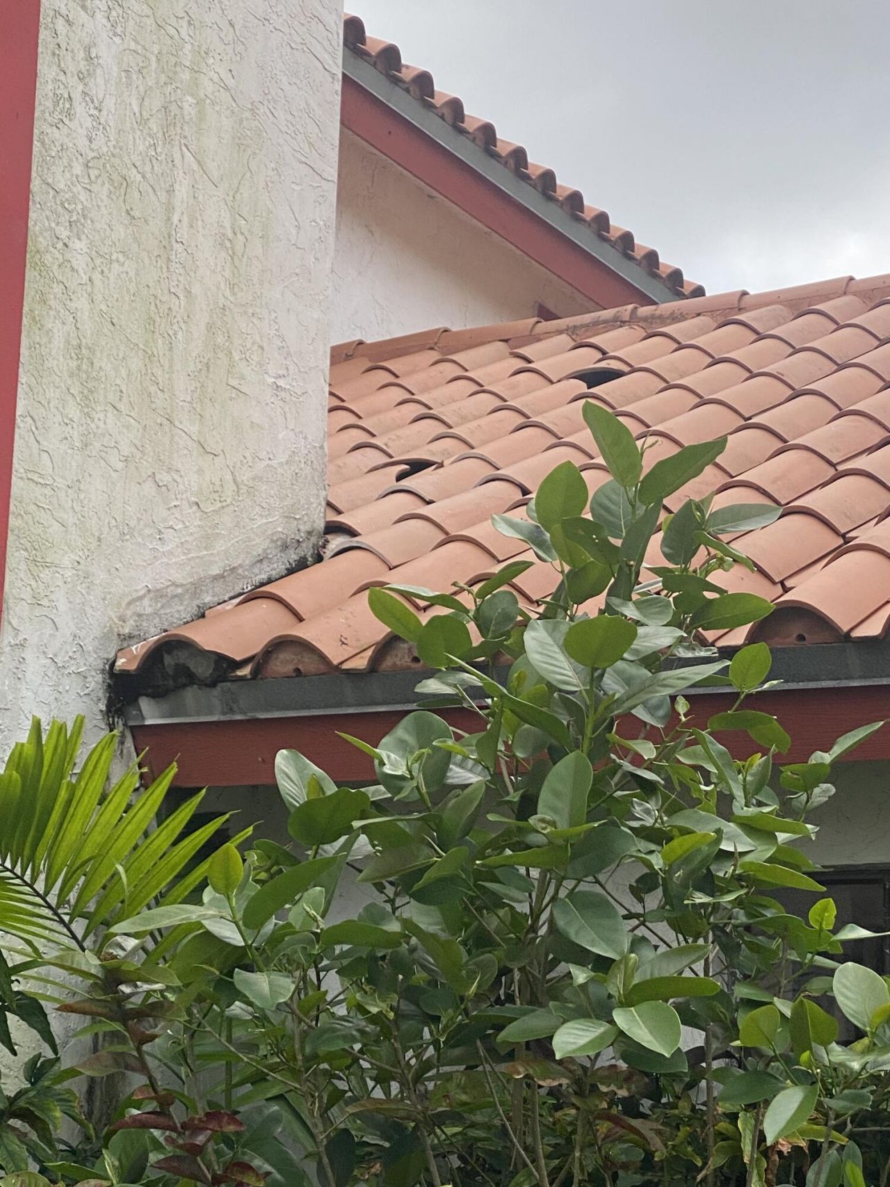 7350 NW 54th Court, Lauderhill, FL 33319 Photo