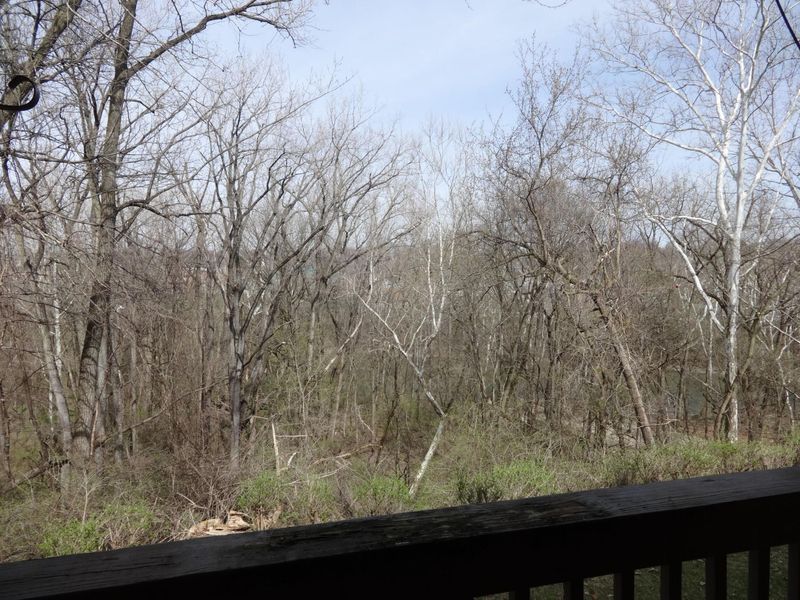 1444 Cliff Court, Unit 35, Columbus, OH 43204 Photo 25