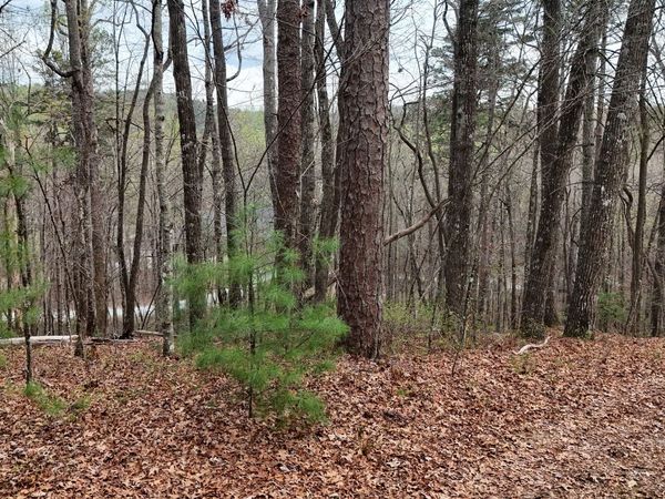 LOT 8 Settlement Lane, Tiger, GA 30576