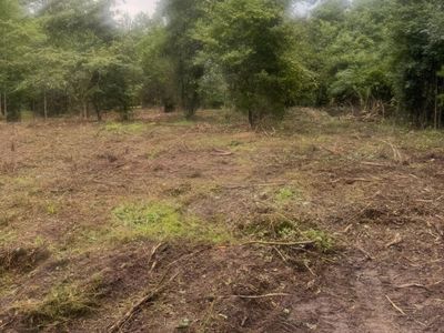 1 Abandon Lane Lane, Summerville, SC 29486