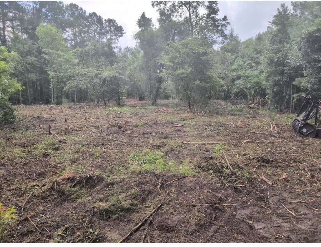 1 Abandon Lane Lane Photo 4