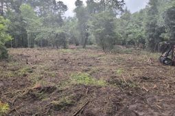 1 Abandon Lane Lane photo 4