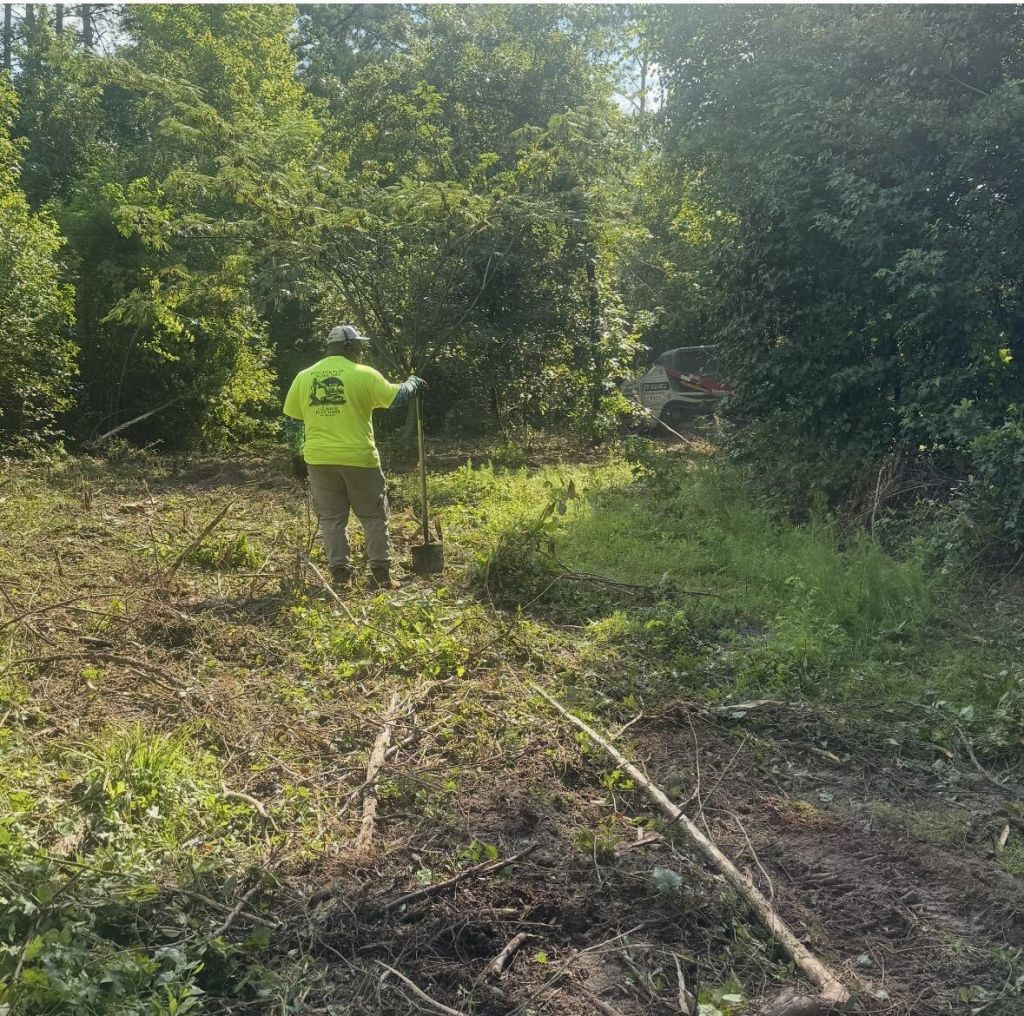 1 Abandon Lane Lane Photo 6